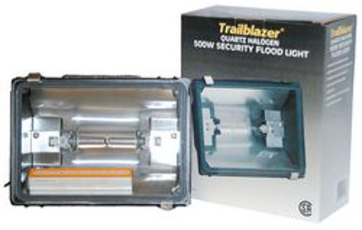Picture of Lamp Halogen Flood 120V-500W - No: L002703