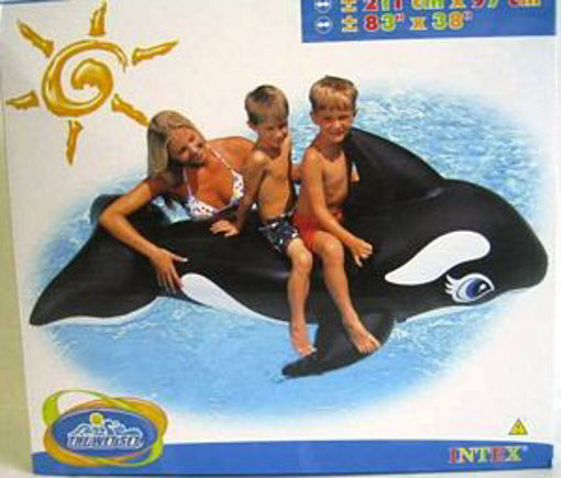 Picture of Inflatable Whale Ride-On - No: 