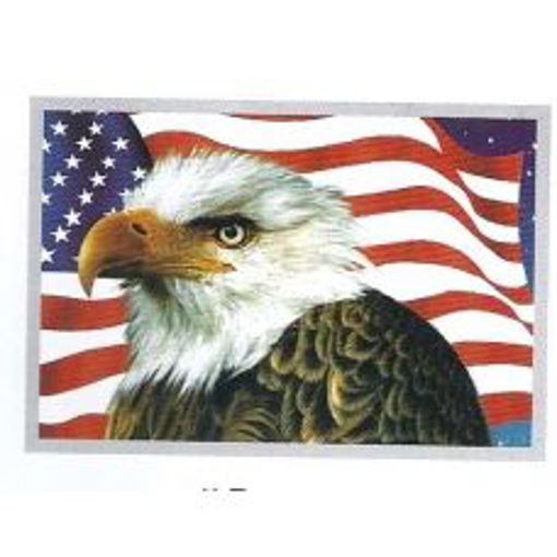 Picture of Picture 3D Eagle Head 14.5X18.5 - No: 3D-117