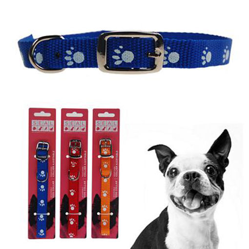 Picture of Collar Paw Print Nylon, 1.5X35Cm - No: 20116PPD
